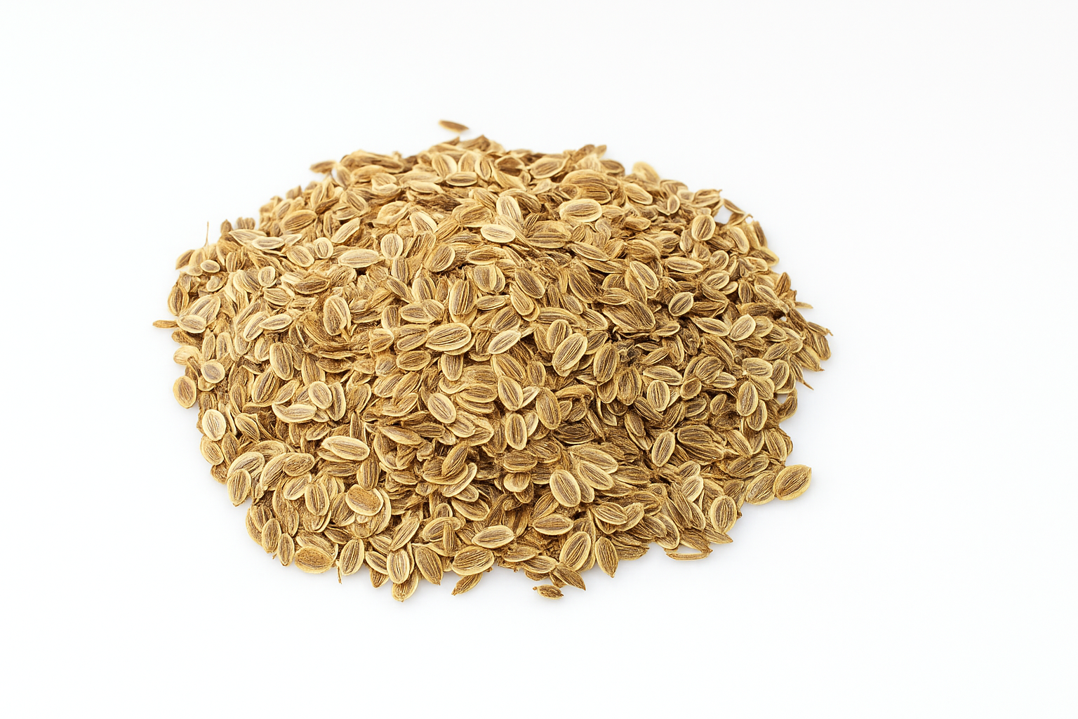 Dill Seeds